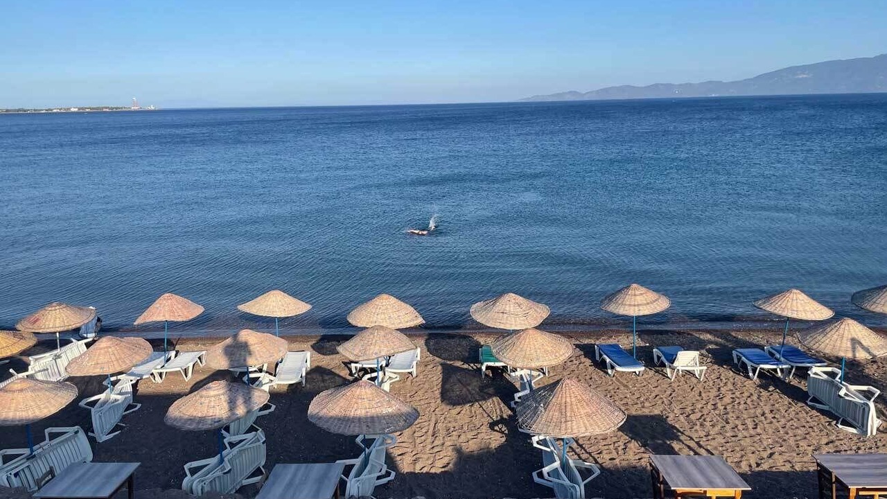 Photo of Others in Ayvacik