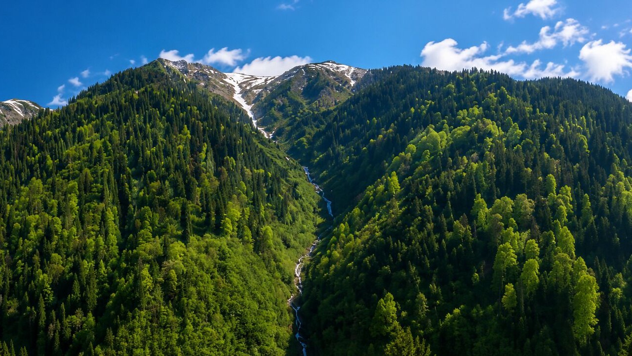 Photo of Others in Ayder Yaylasi