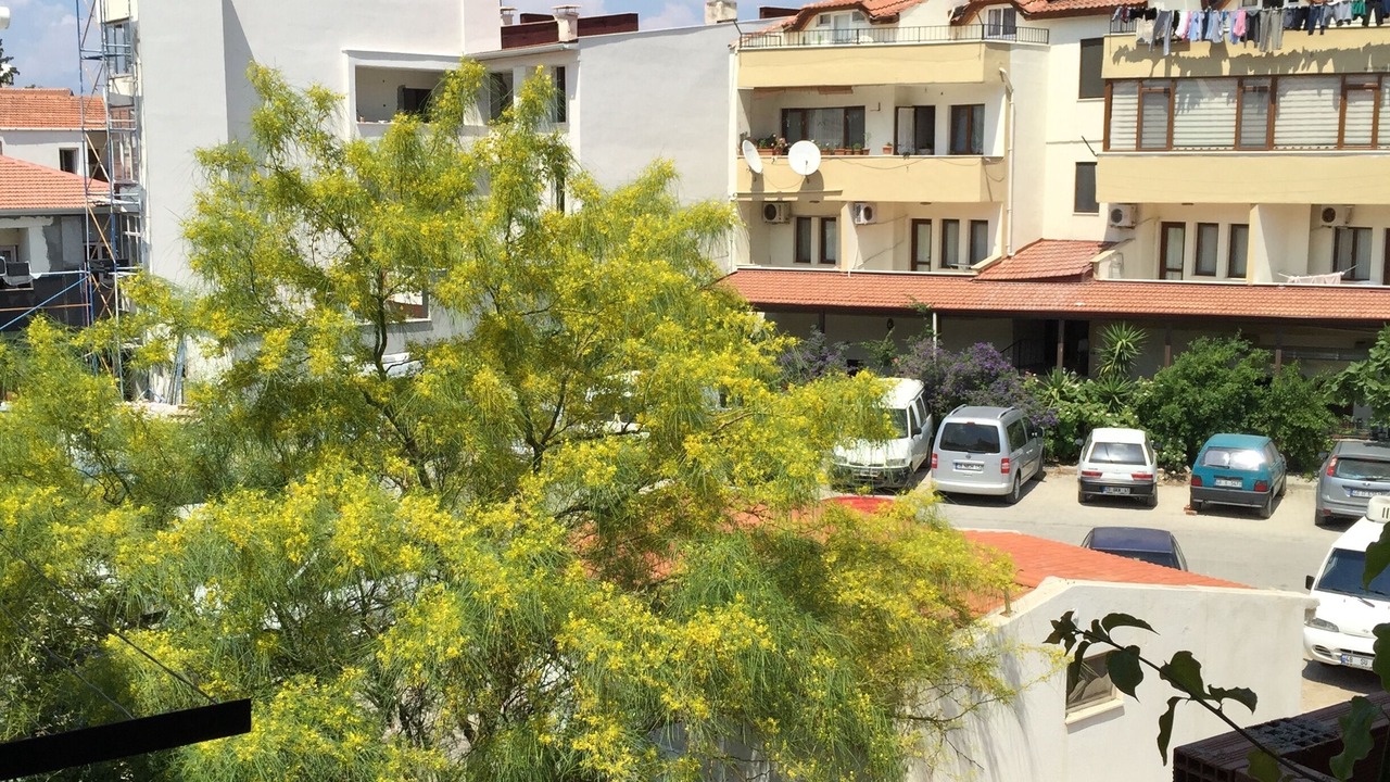 Photo of Others in Datca City Center