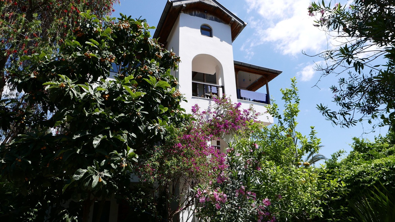 Photo of Outdoor in Cirali
