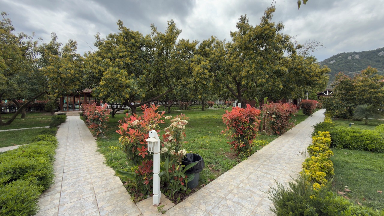 Photo of Outdoor in Cirali