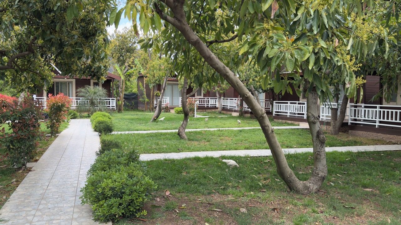 Photo of Outdoor in Cirali