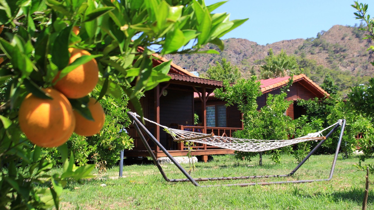 Photo of Outdoor in Cirali