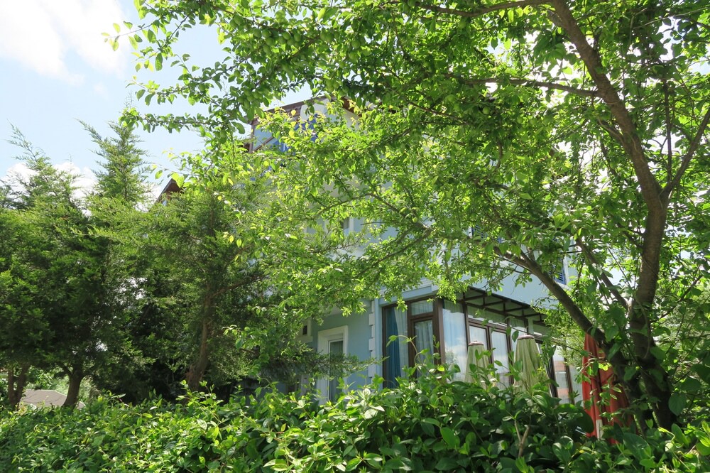 Photo of Outdoor in Agva