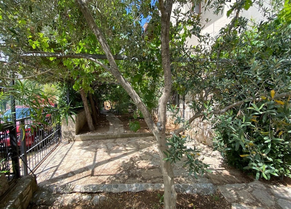 Photo of Outdoor in Old Datca
