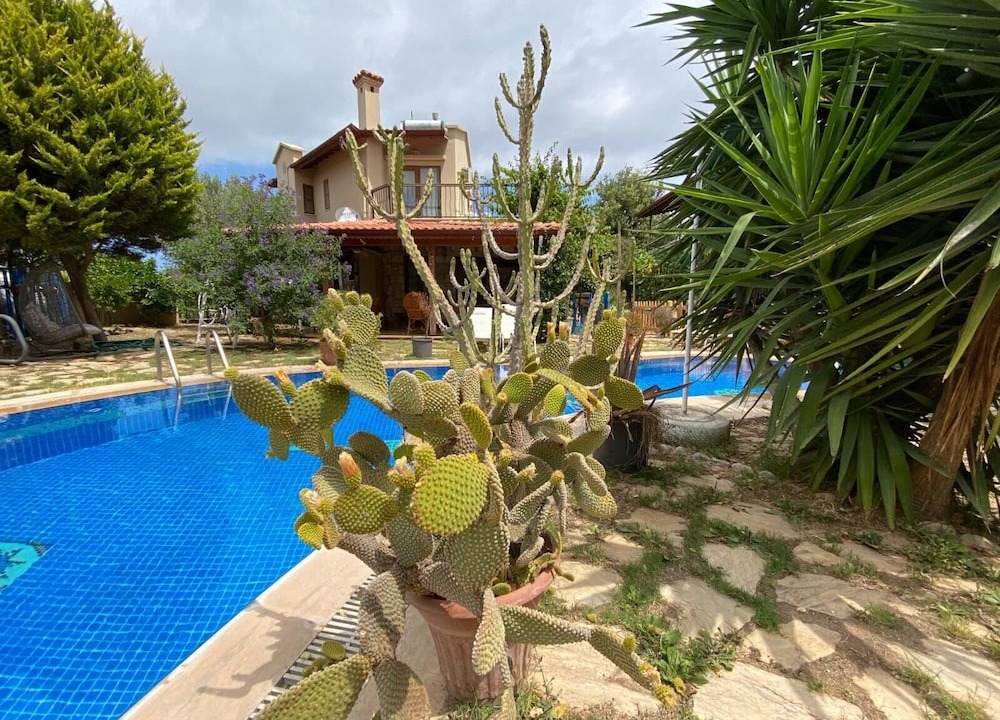 Photo of Outdoor in Old Datca