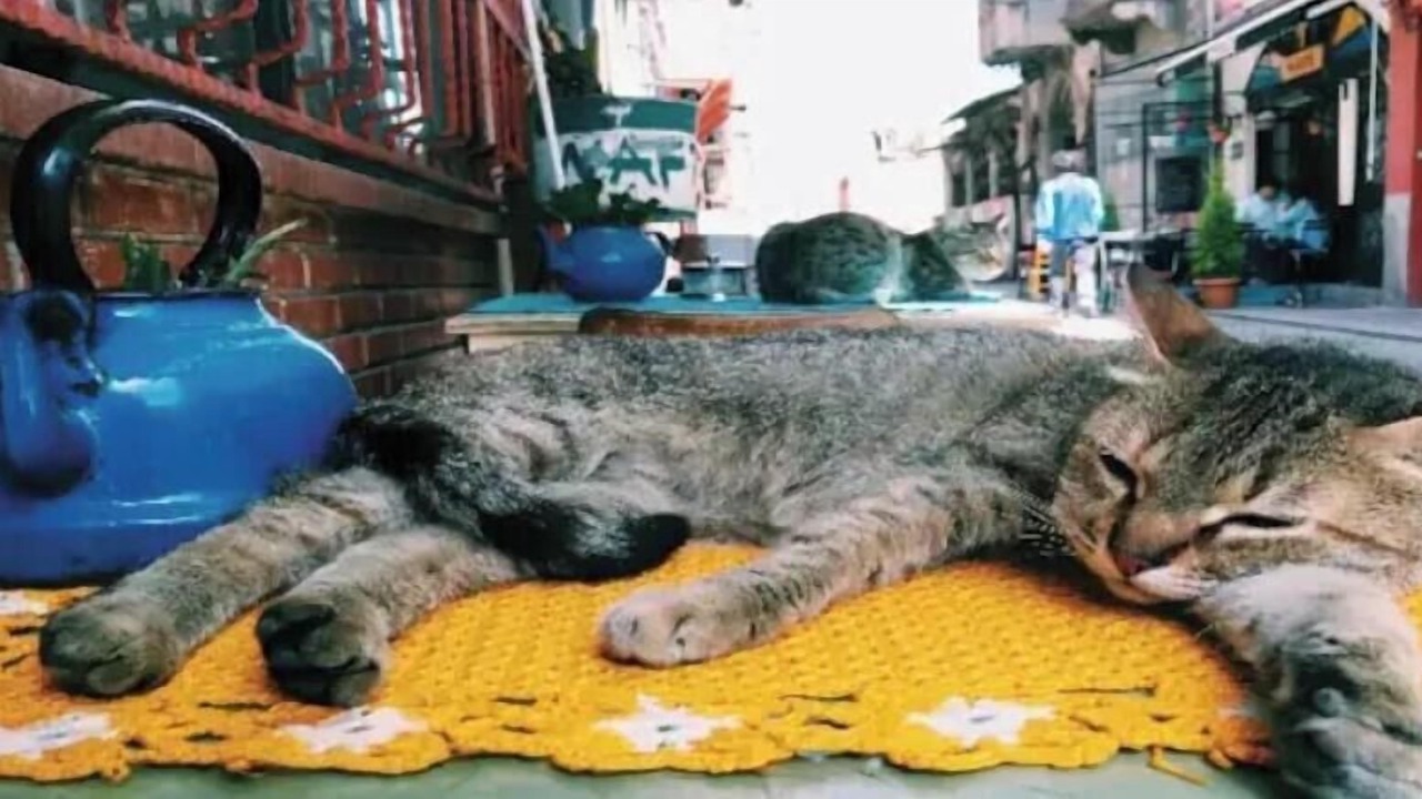 Photo of Others in Balat