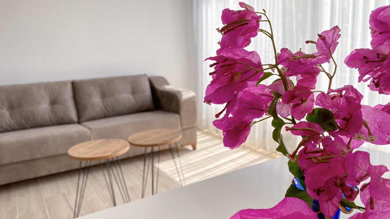 Photo of Livingroom in Cesme