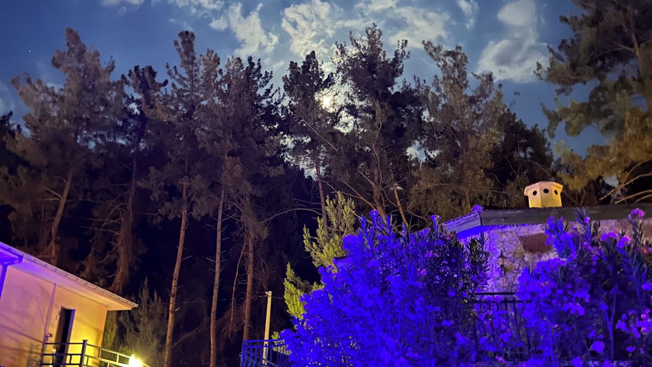 Photo of Outdoor in Marmaris