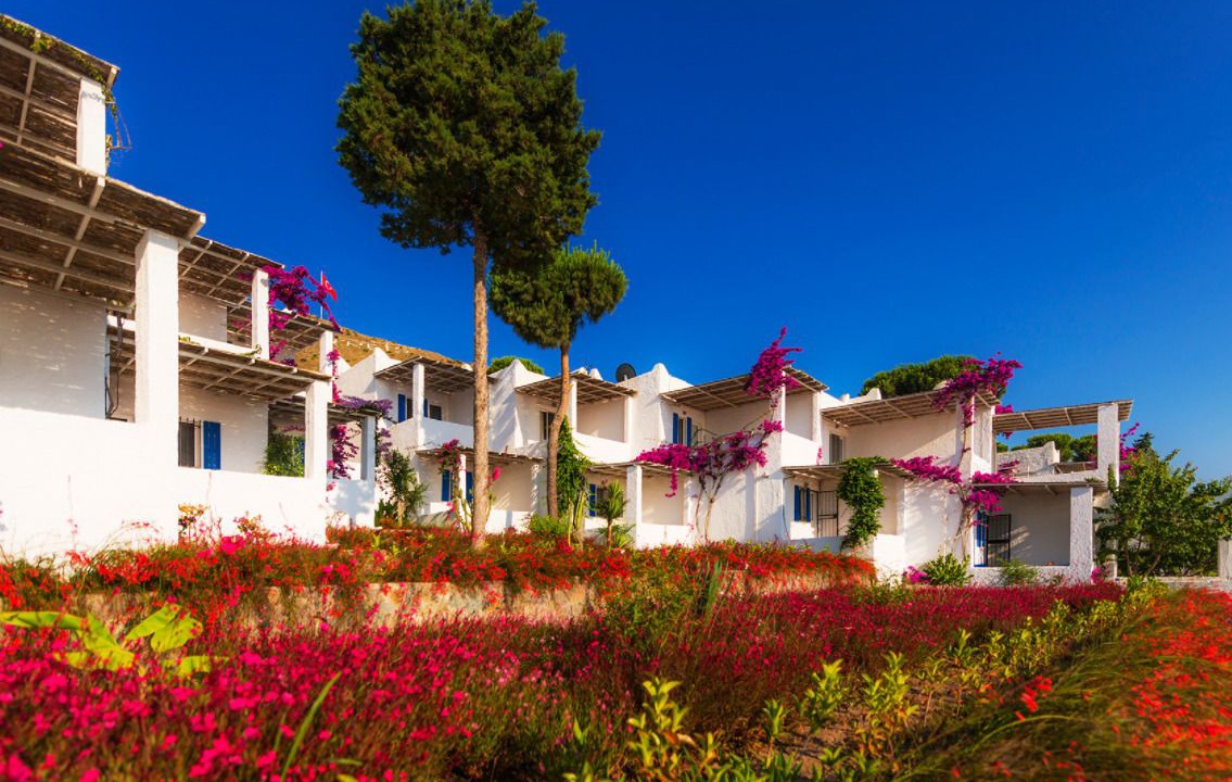 Photo of Outdoor in Turgutreis