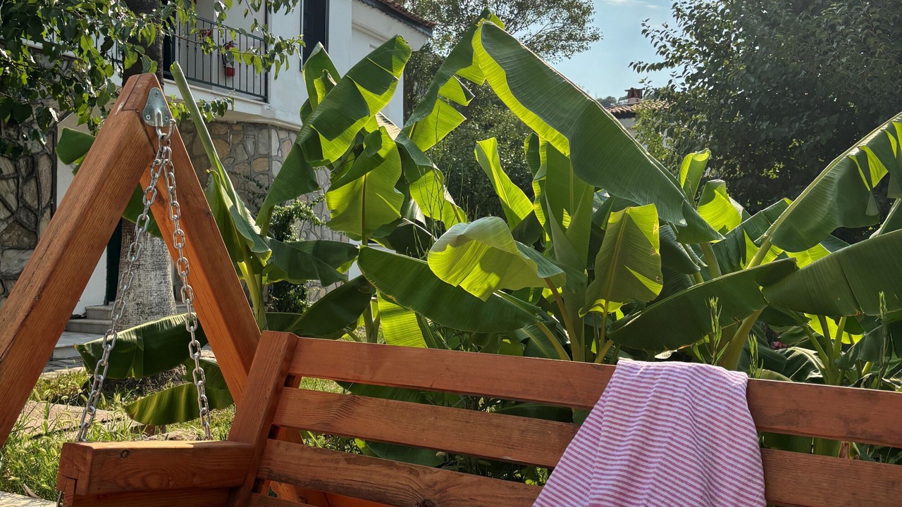 Photo of Others in Dalyan