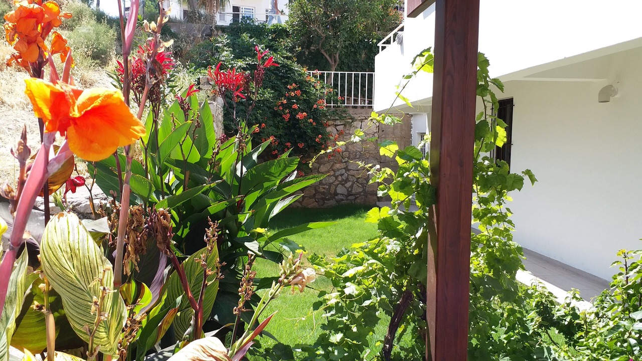 Photo of Outdoor in Datca City Center