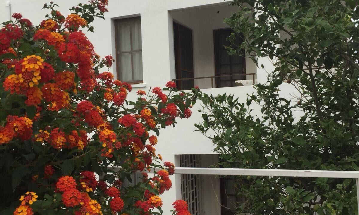 Photo of Outdoor in Datca City Center