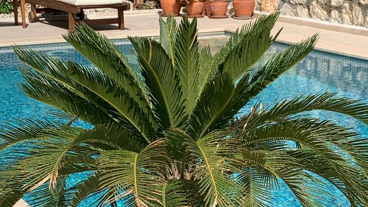 Photo of Outdoor in Kalkan