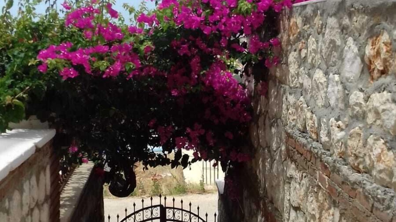 Photo of Others in Kalkan