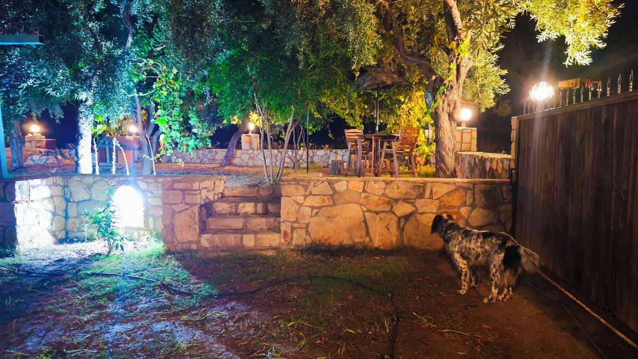Photo of Outdoor in Milas
