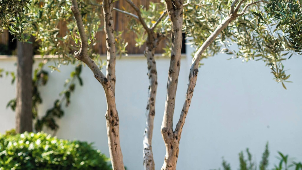 Photo of Outdoor in Cesme