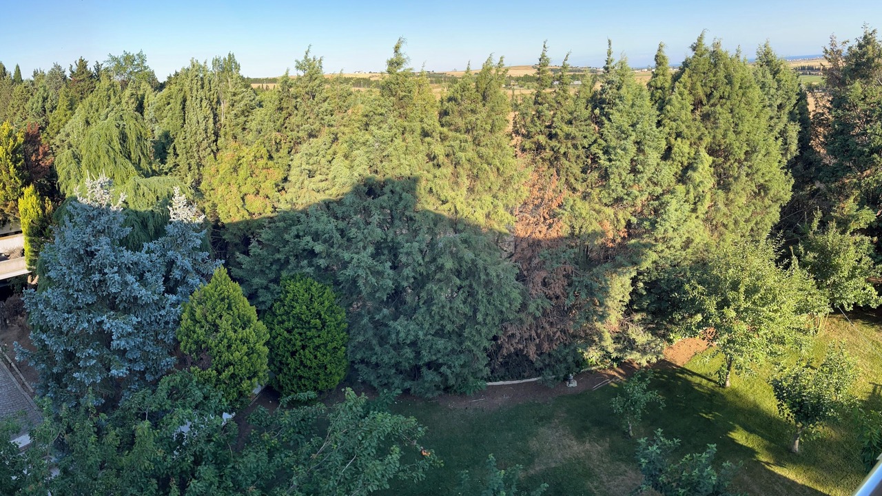Photo of Outdoor in Silivri