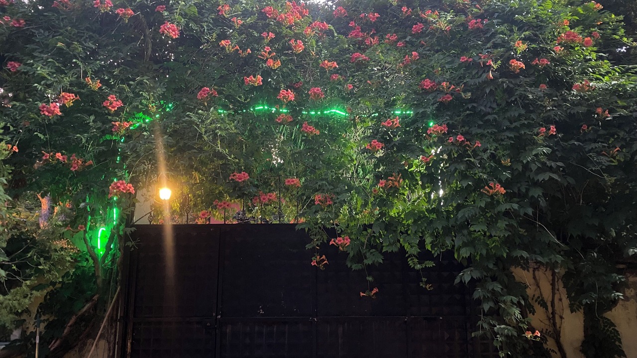 Photo of Outdoor in Arnavutkoy