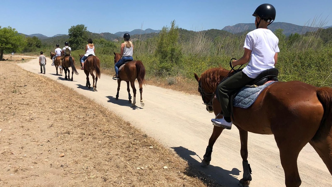 Photo of Others in Oludeniz