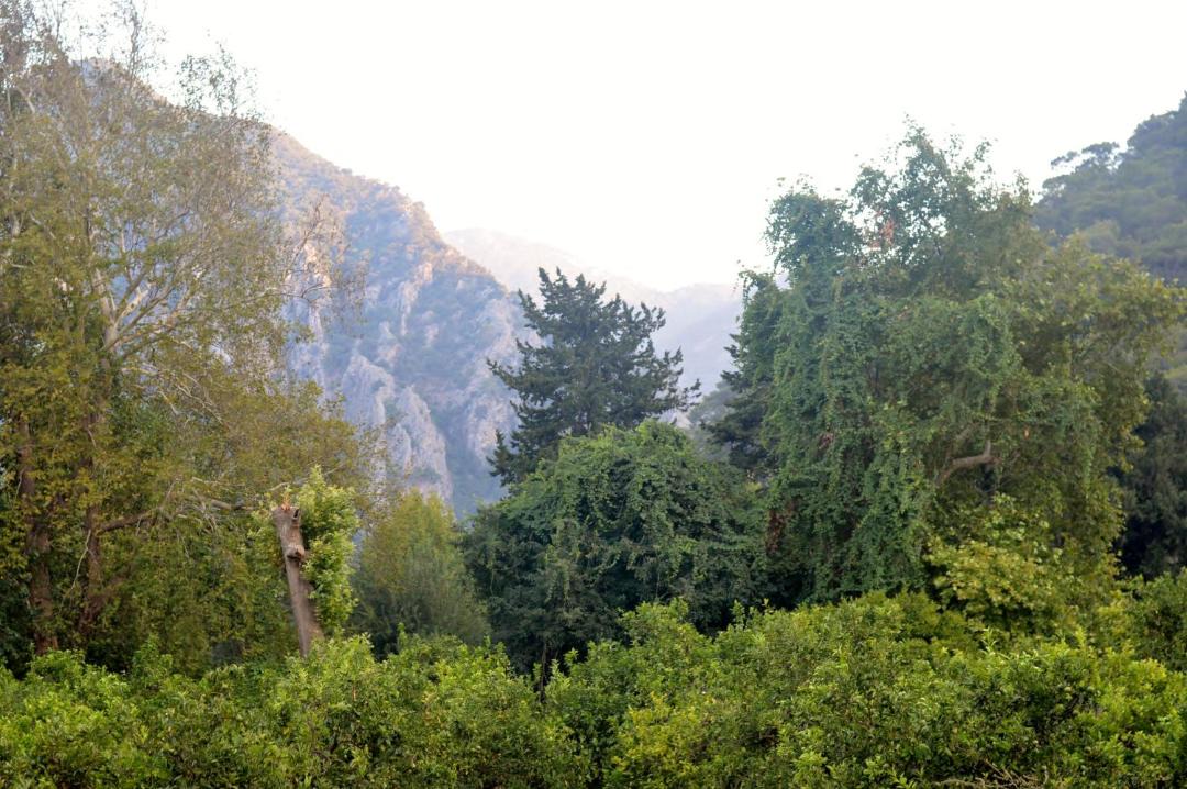 Photo of Others in Cirali