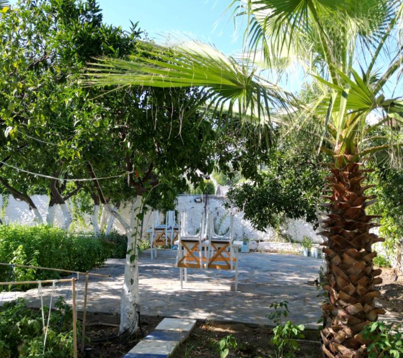 Photo of Others in Bodrum City Center