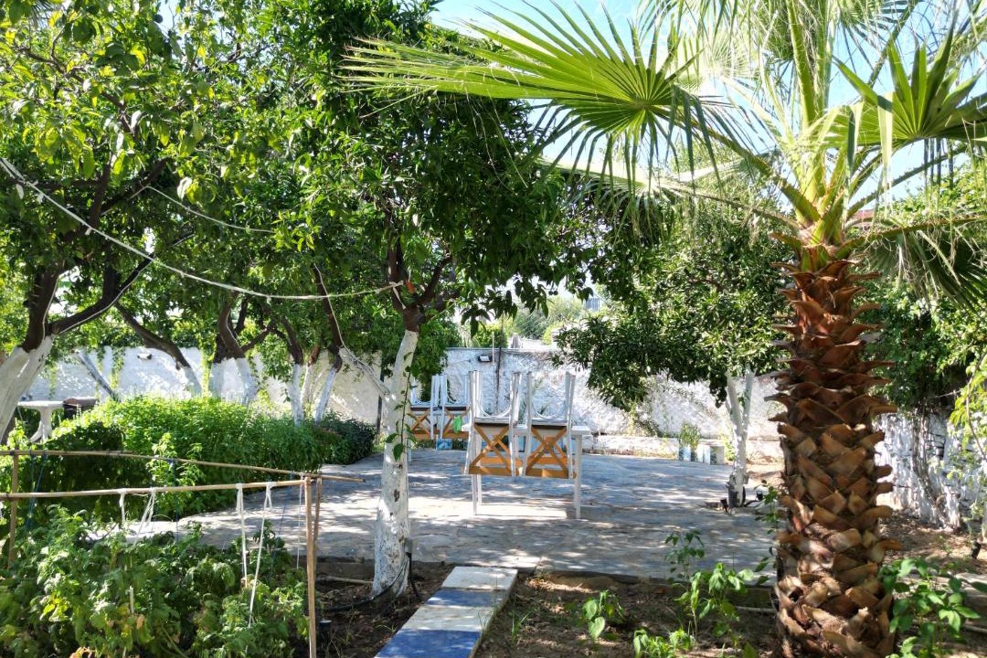 Photo of Others in Bodrum City Center
