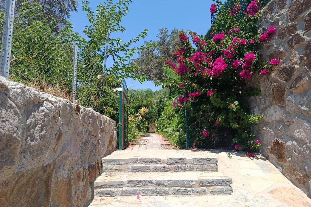 Photo of Others in Dagbelen