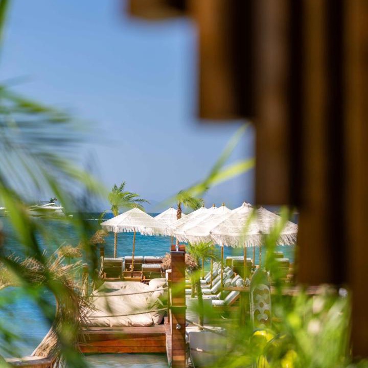 Photo of Others in Torba