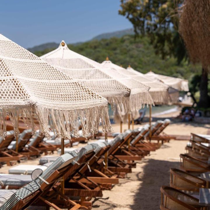 Photo of Others in Torba