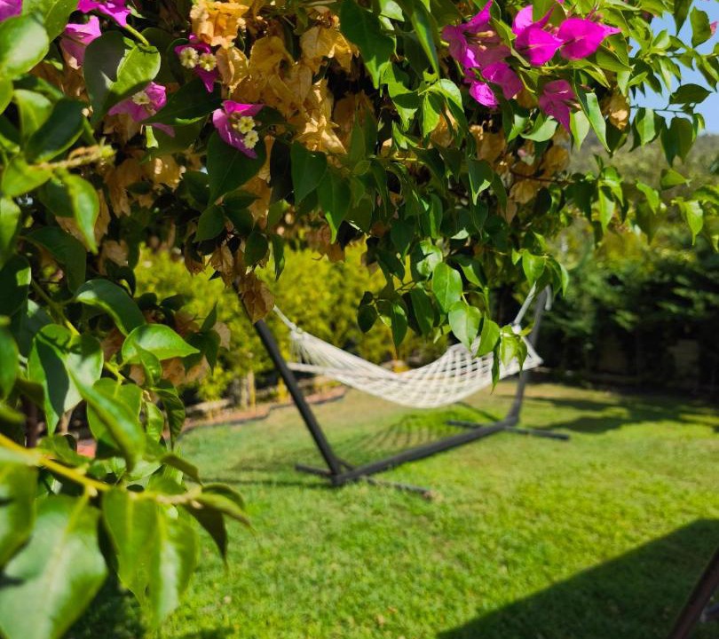 Photo of Others in Fethiye