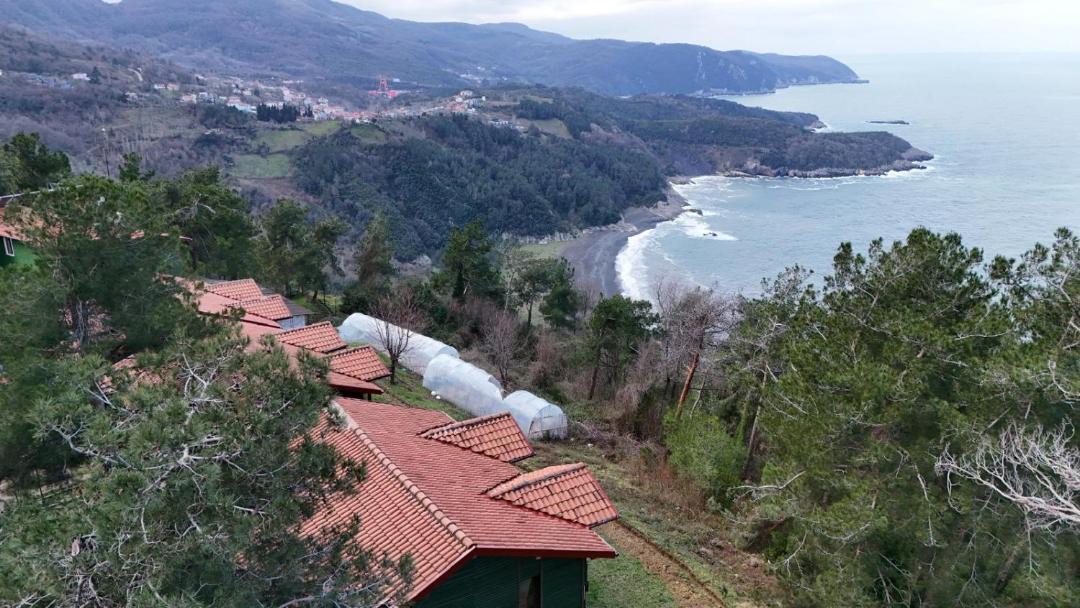 Photo of Others in Amasra