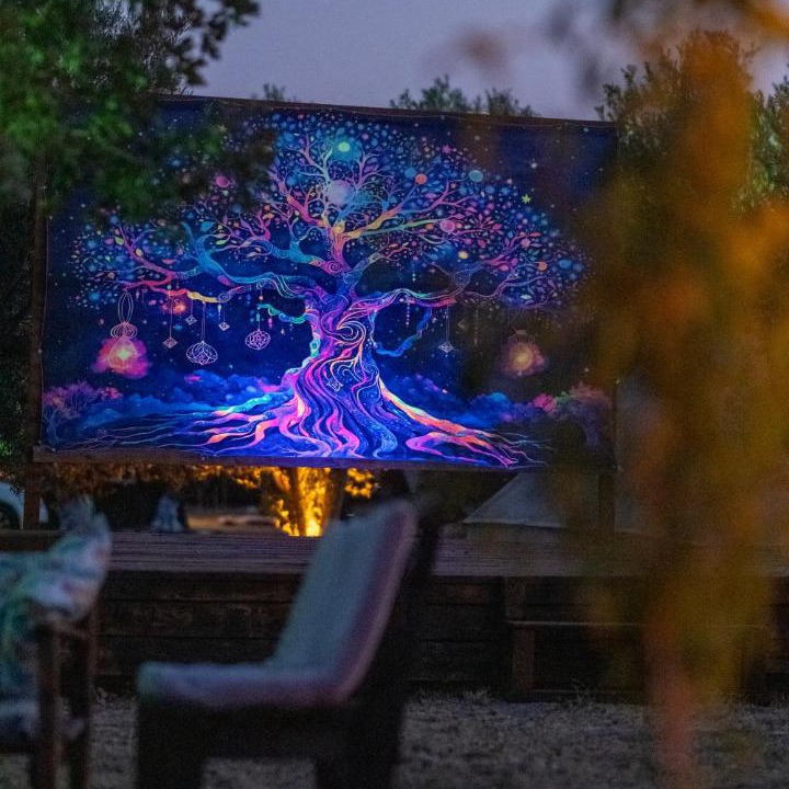 Photo of Outdoor in Ayvacik