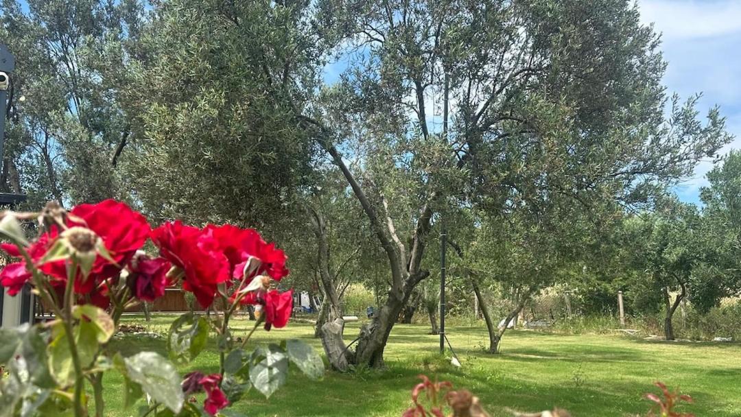 Photo of Outdoor in Bozcaada