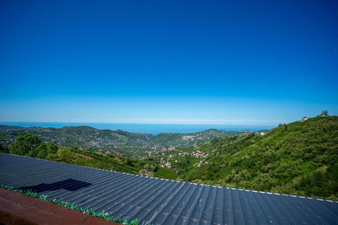 Photo of Others in Trabzon