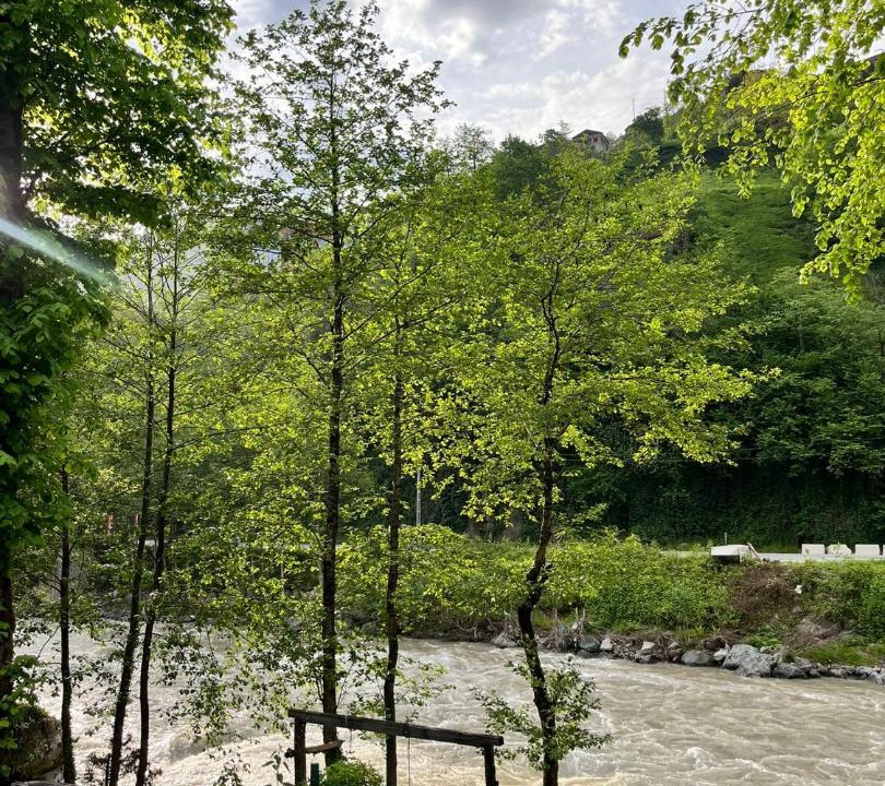 Photo of Others in Ayder