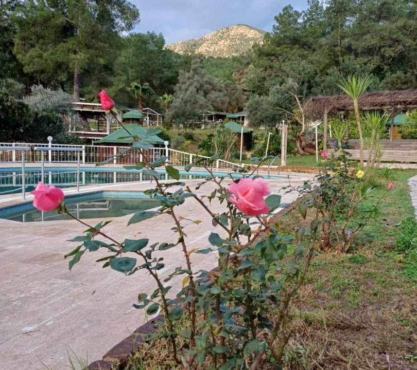 Photo of Others in Olympos