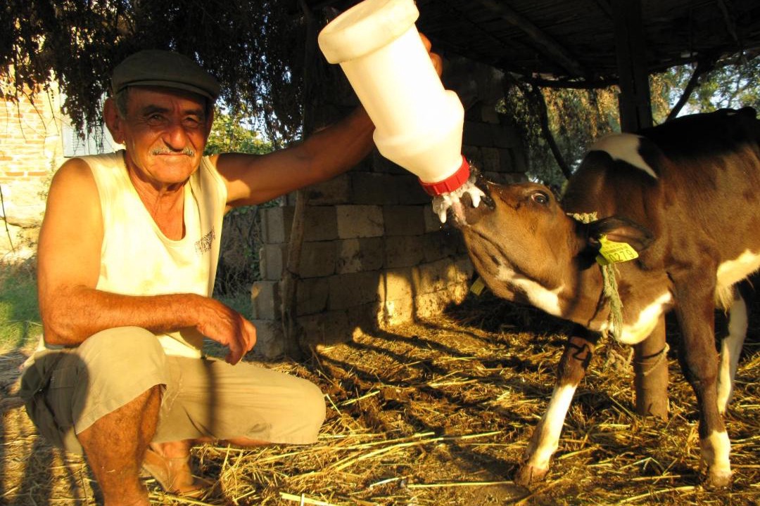Photo of Others in Kapikiri