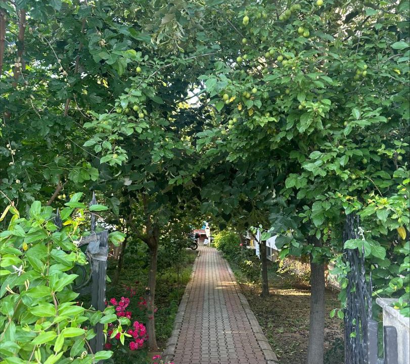 Photo of Outdoor in Karaagac Mahallesi