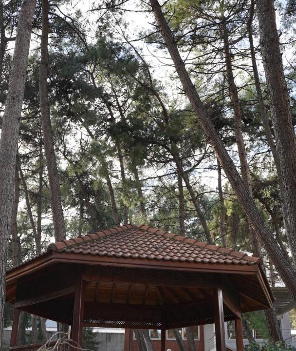 Photo of Others in Dulkadiroglu
