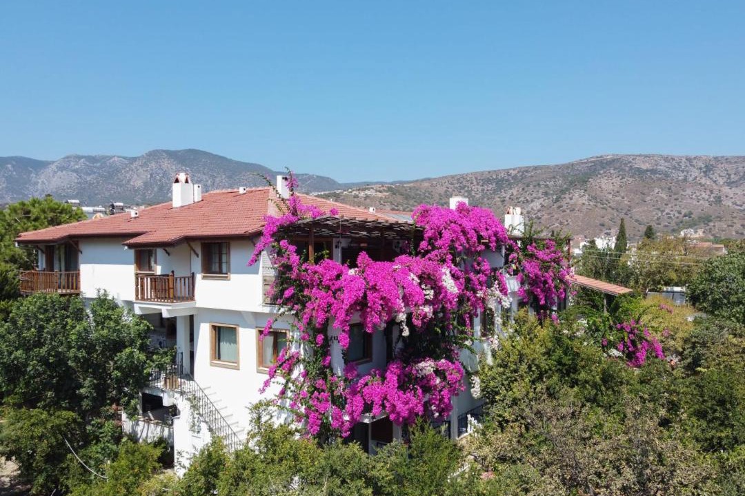 Photo of Others in Datca