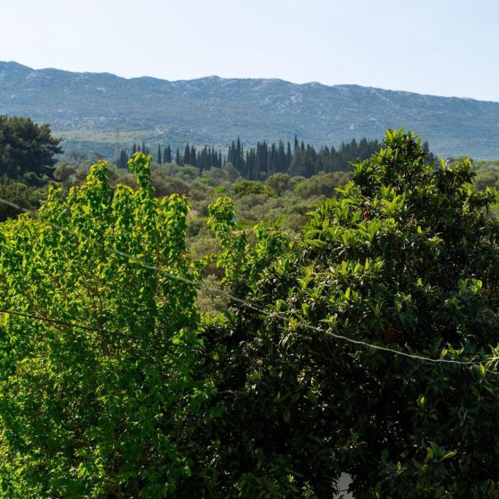 Photo of Others in Karaburun