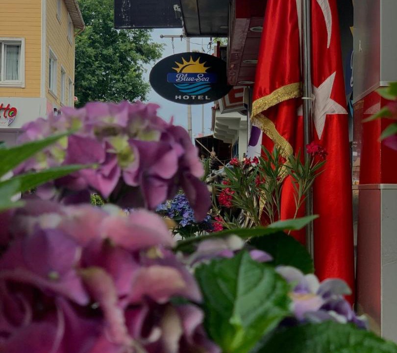 Photo of Others in Pendik District