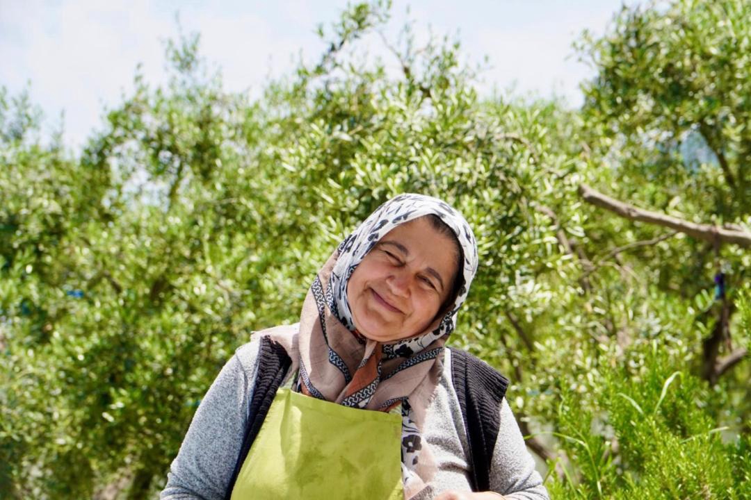 Photo of Others in Guzelcamli