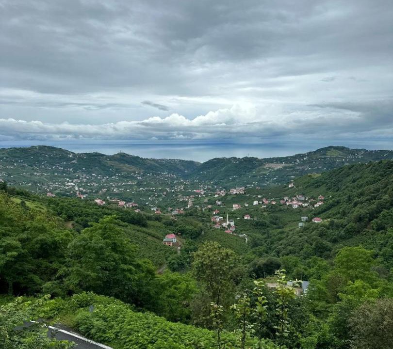 Photo of Others in Trabzon