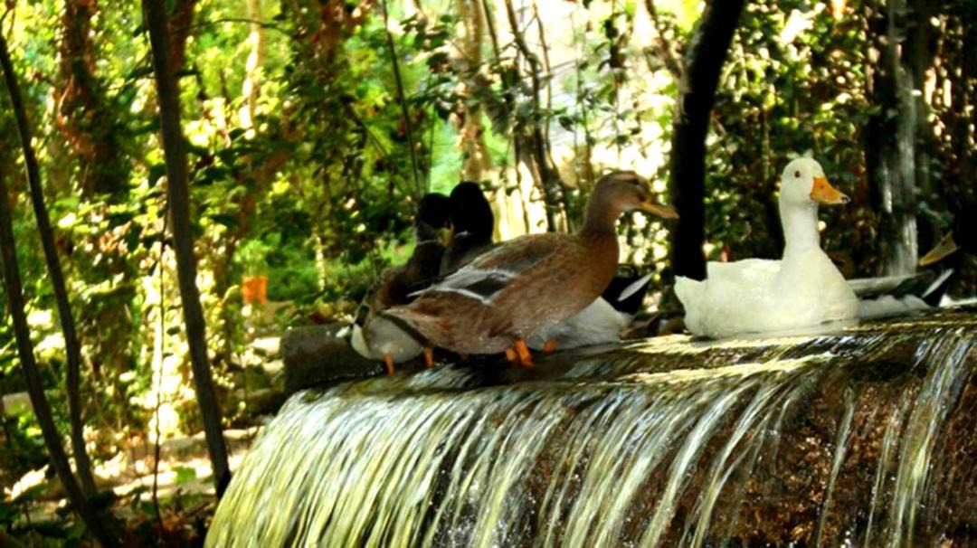 Photo of Others in Ulupinar