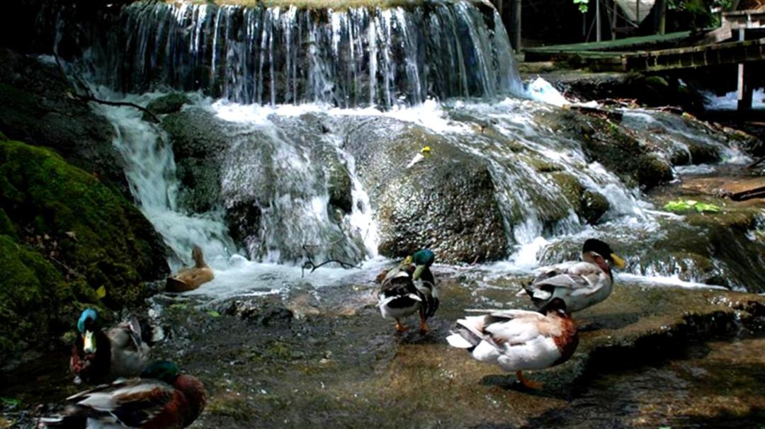 Photo of Others in Ulupinar