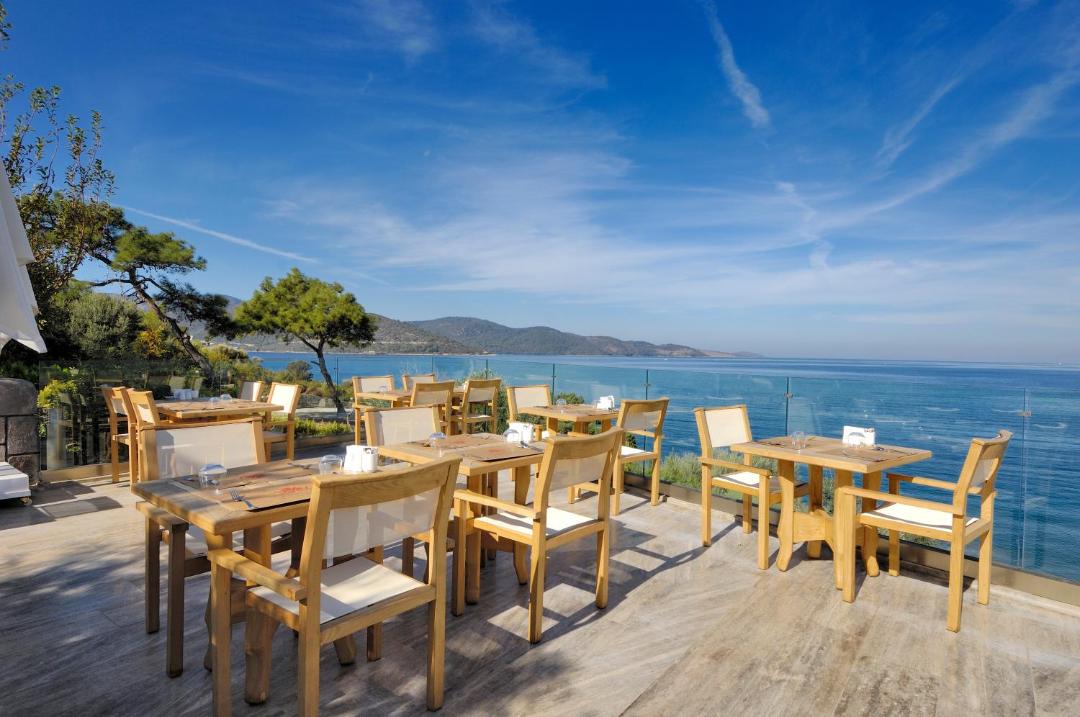 Photo of Others in Torba