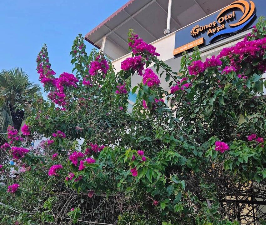 Photo of Outdoor in Marmara