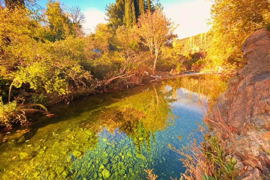 Photo of Others in Zeytinli
